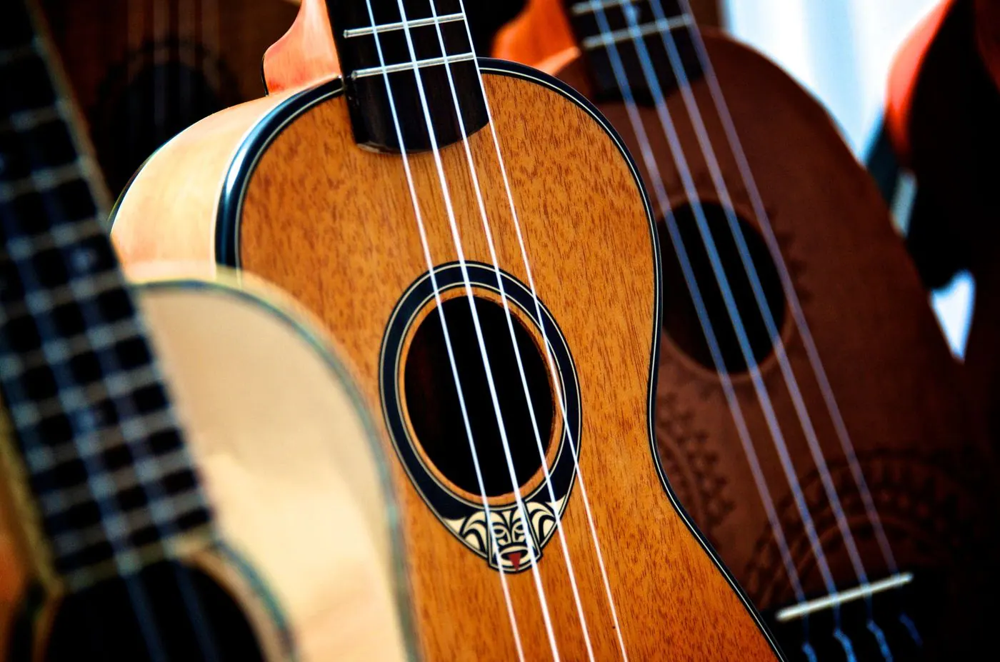Ahşap ukulele koleksiyonu